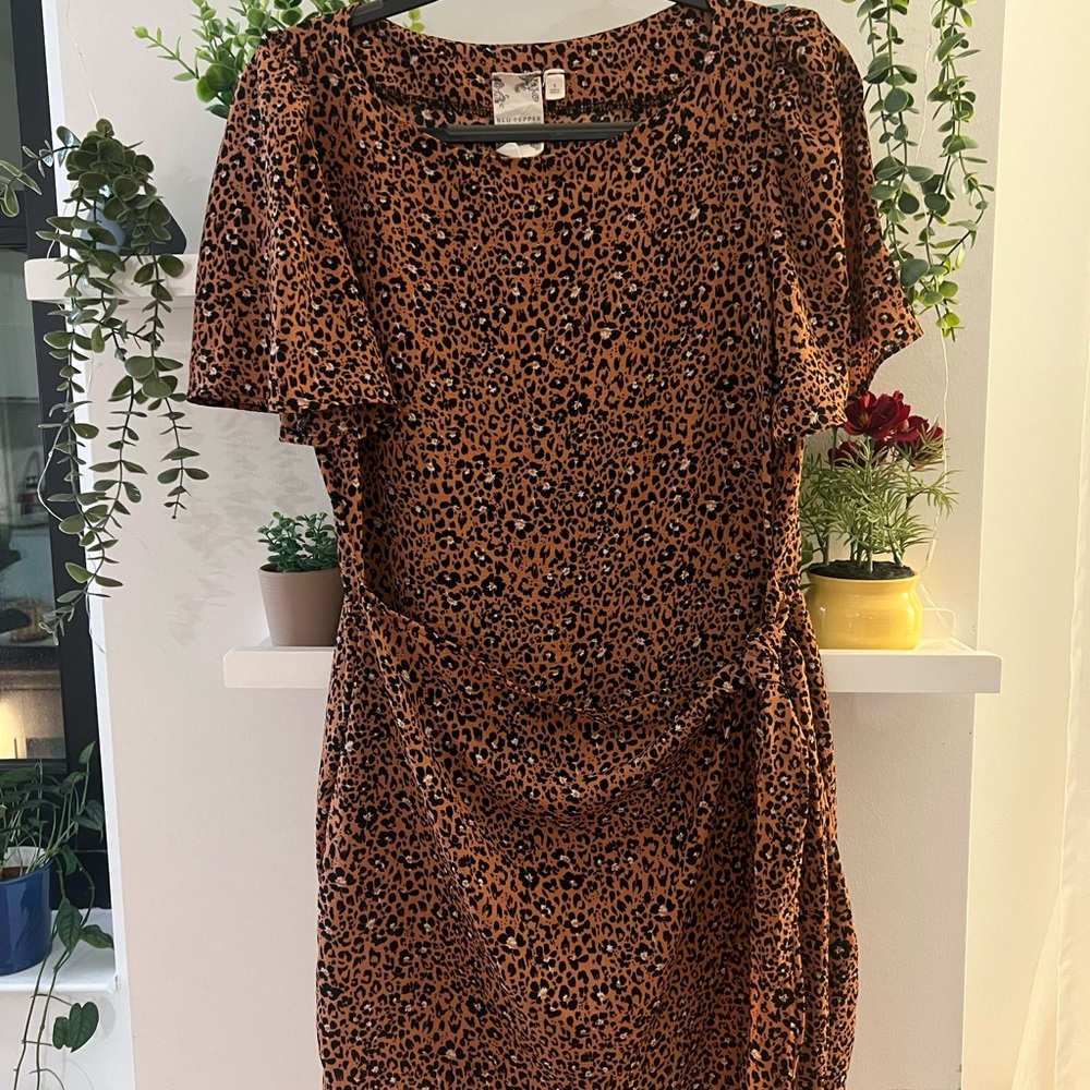 Blu Pepper Brown and Black Sheath Mini Dress
